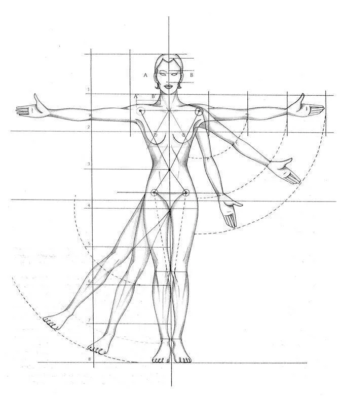 Anthropometry diagram